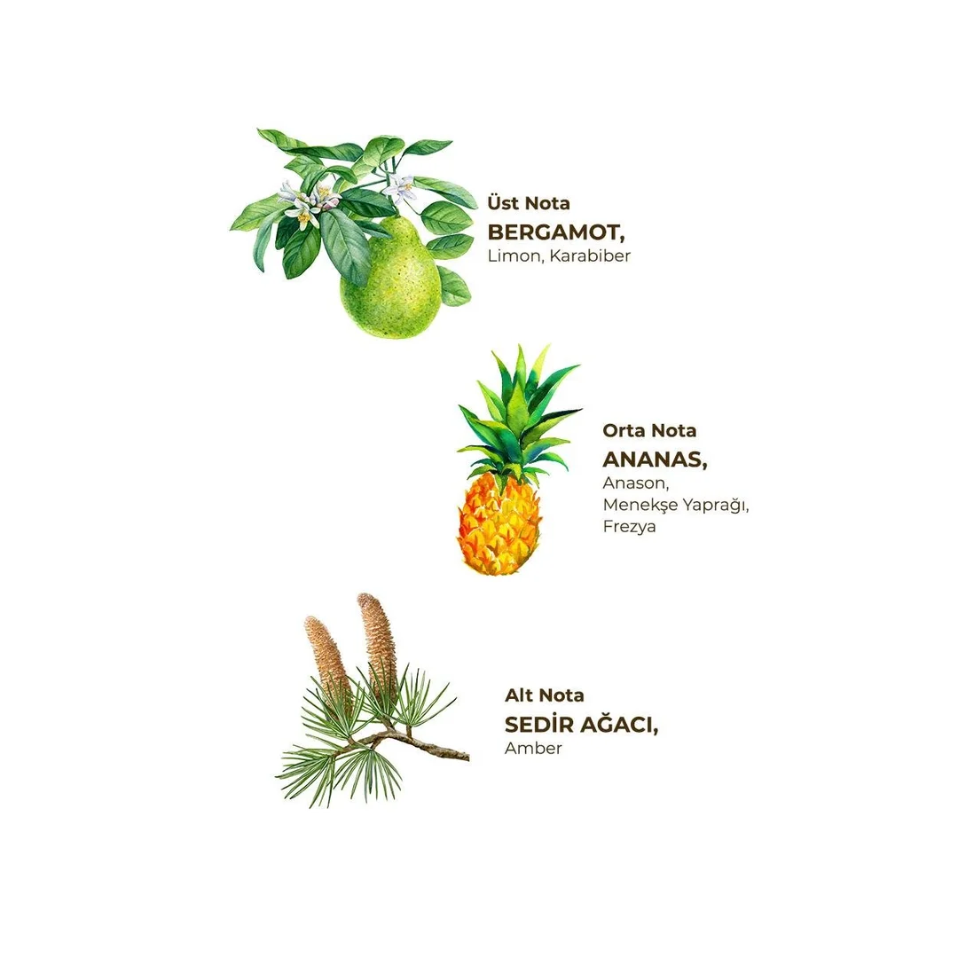 Eyüp Sabri Tuncer Kolonya 1 Litre Okyanus - Pet Şişe Koruma Kapaklı / Eyüp Sabri Tuncer Kolonya 1 Litre Okyanus - Pet Şişe Koruma Kapaklı /