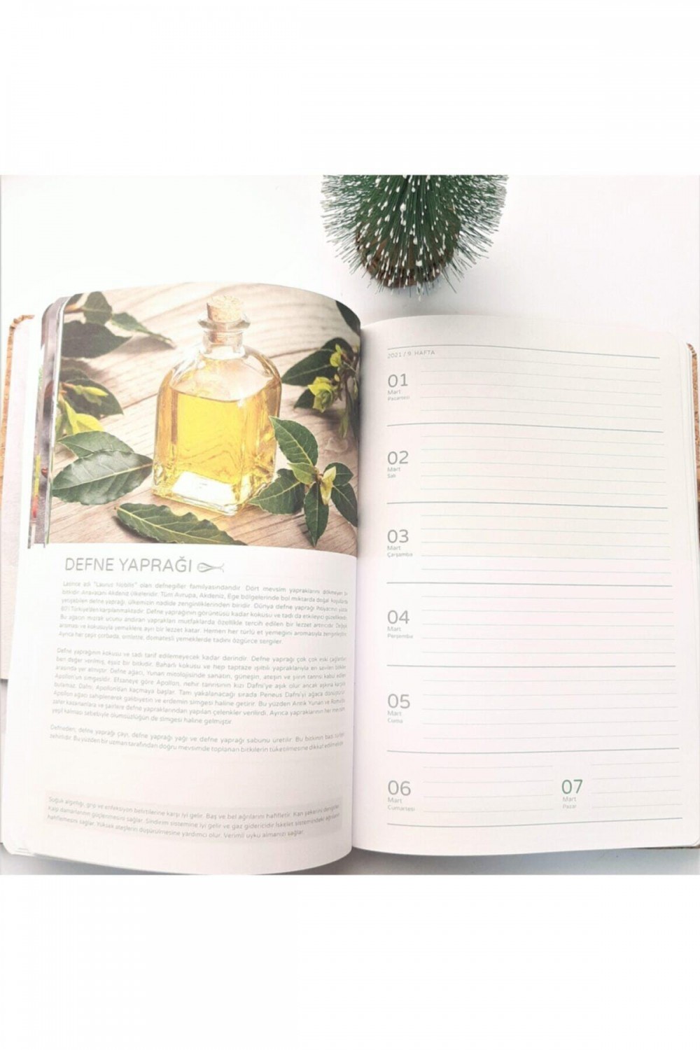 Gıpta 2021 Yılı Yararlı Bitkiler Haftalık Ajanda