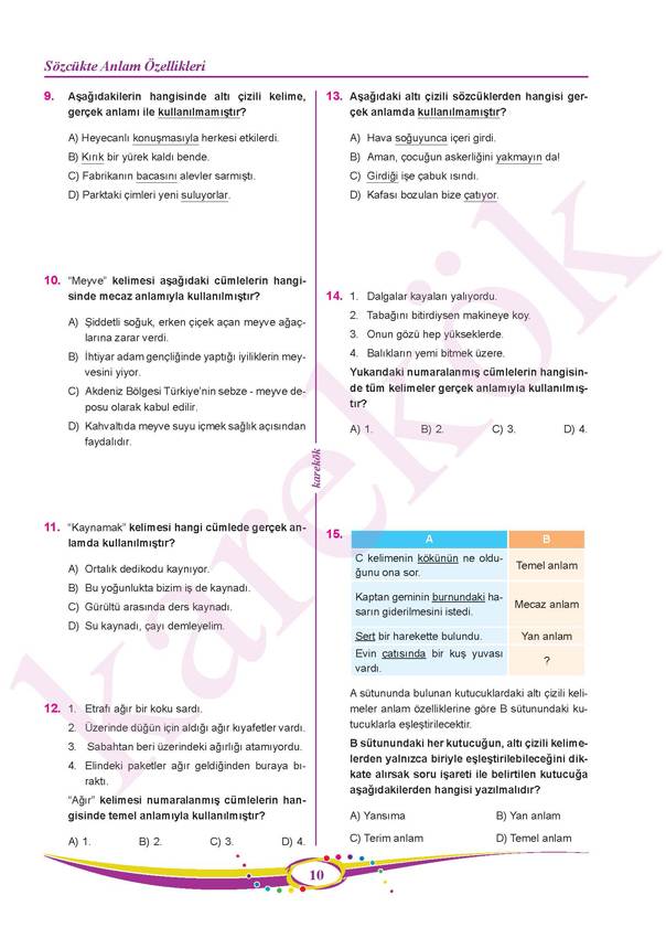 Karekök Yayınları 8. Sınıf LGS Türkçe Soru Bankası