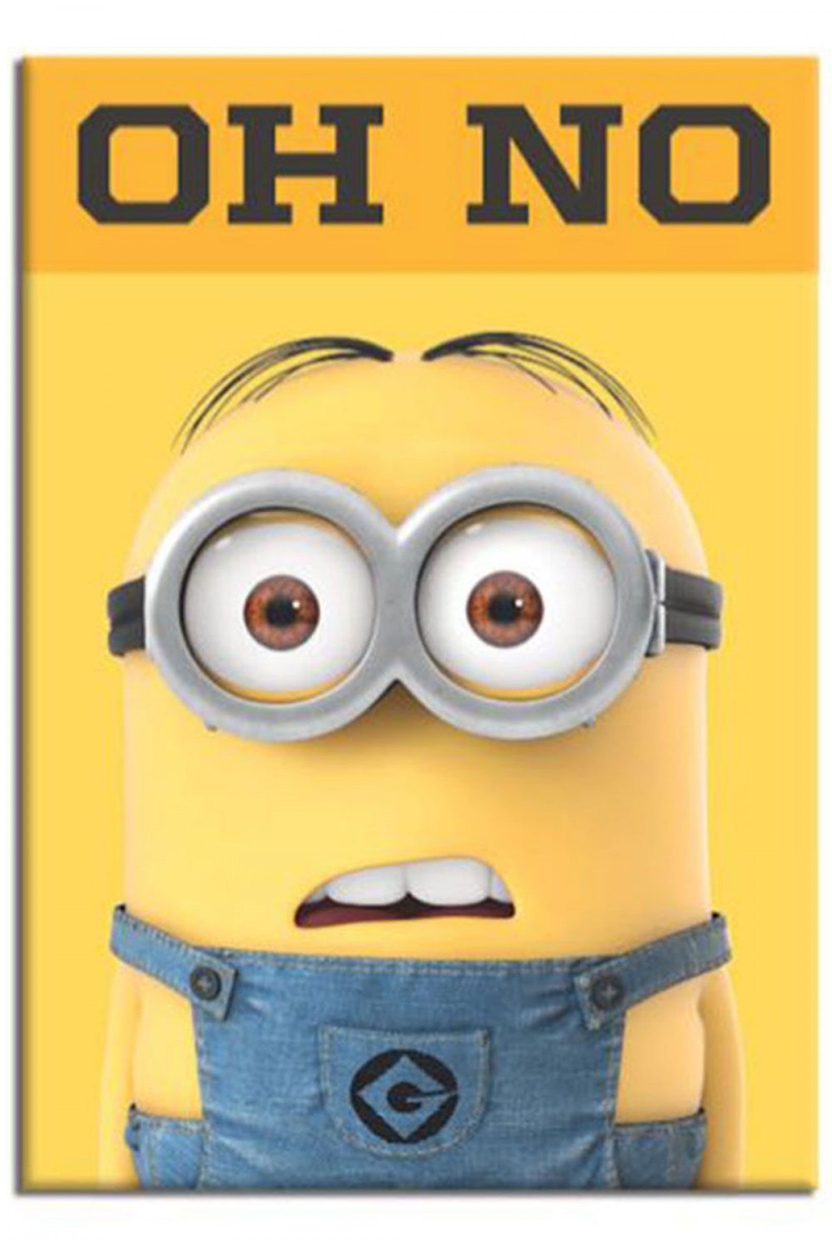 Keskin Color A4 40yp Plastik Kapak Zımbalı Not Defteri Minions - Kareli