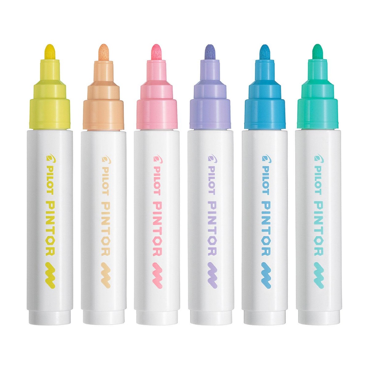 Pilot Pintor M 1.4mm Akrilik Kalem Markör Pastel Renkler / SW-PT-M-S6-Pastel