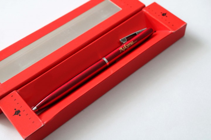 Steelpen 