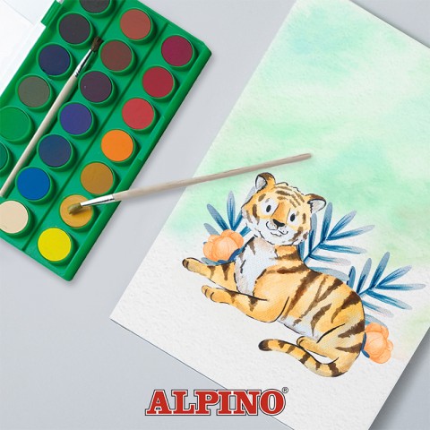 Alpino Aq-02 21 Renk Sulu Boya
