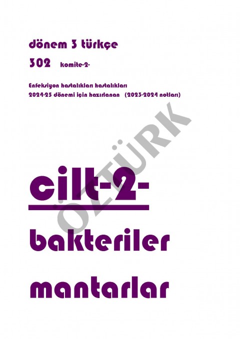 Dönem 3 Türkçe Komite 2 Spiralli Ders Notu Renkli / 3201