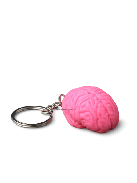 E&D Art Hediyelik Anahtarlık Minyatür Beyin 