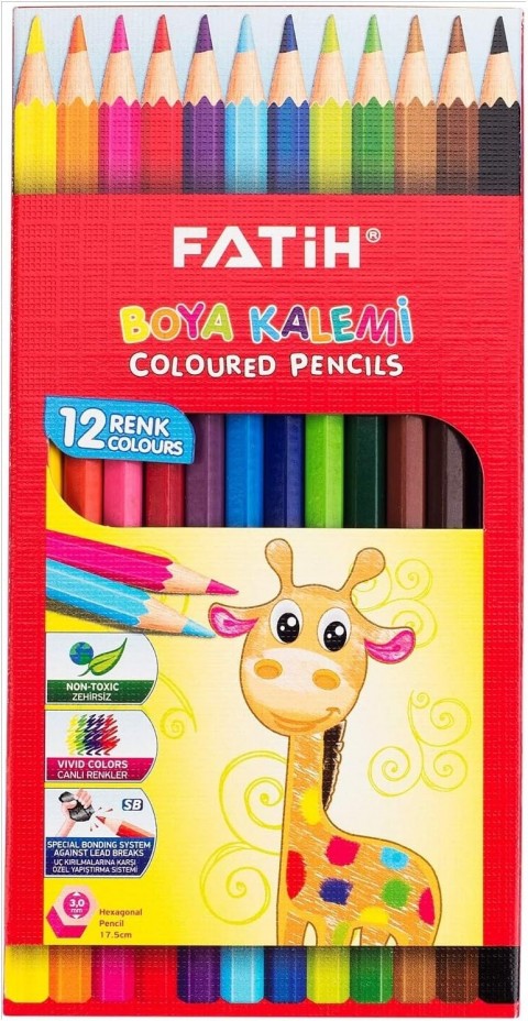 Fatih 12'li Tam Boya Kuru Boya Karton Kutu / 33112