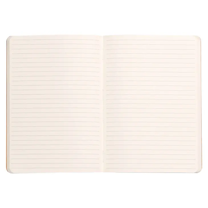 Rhodia Webnotebook A5 80yp Çizgili Yumuşak Kapak Ciltli Not Defteri Turuncu / 117415