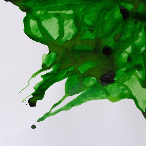 Winsor & Newton Drawing Ink Çizim Mürekkebi 14ml Apple Green 011